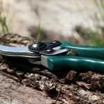 Comment tailler les arbustes sans les blesser ?