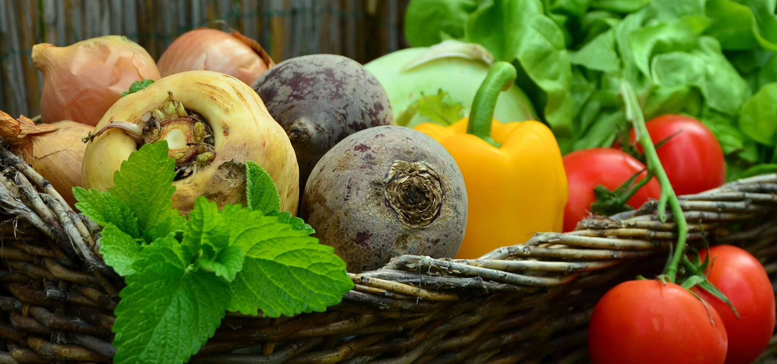 Le potager en carrés : une méthode facile et productive pour cultiver ses légumes