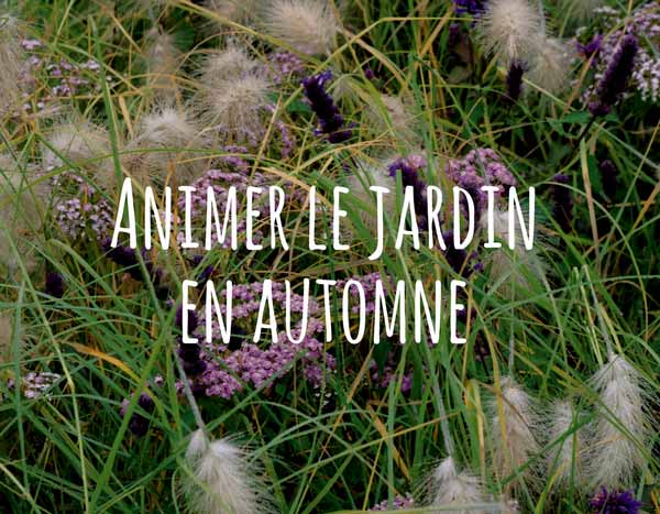 Colorer le jardin à la morne saison