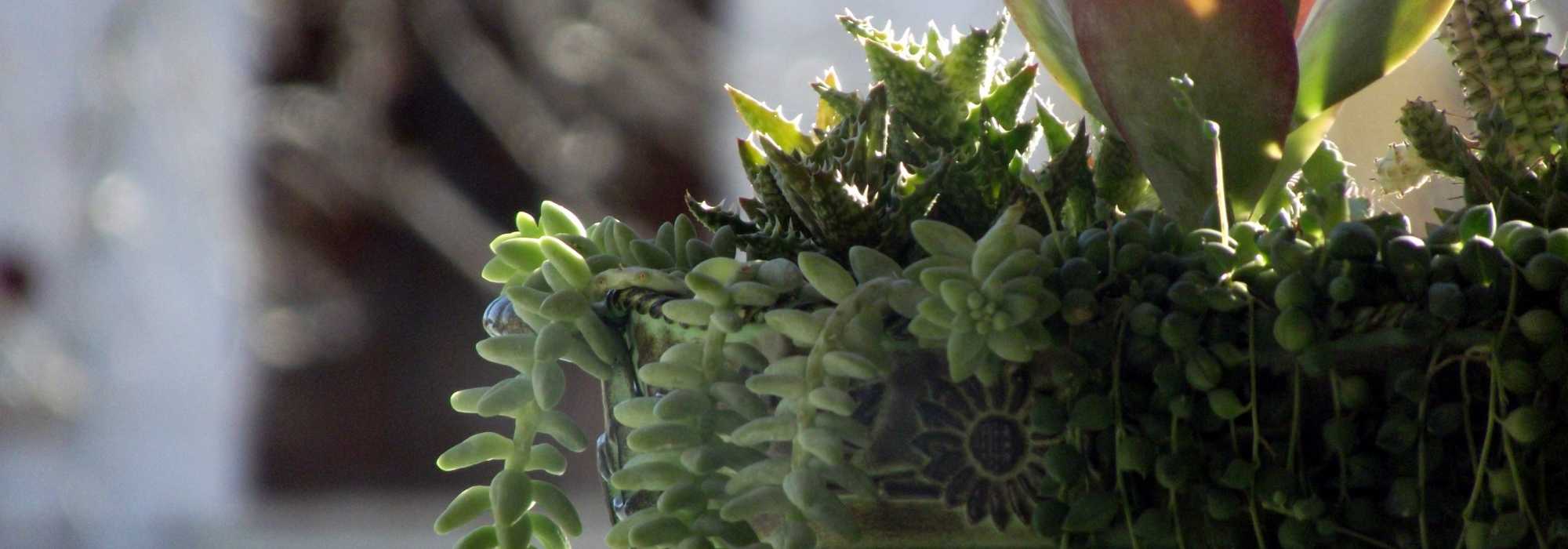 8 compositions florales pour le cimetière