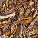 Le BRF ou Bois Raméal Fragmenté : qu'est-ce que c'est ? Comment l'utiliser au jardin ?