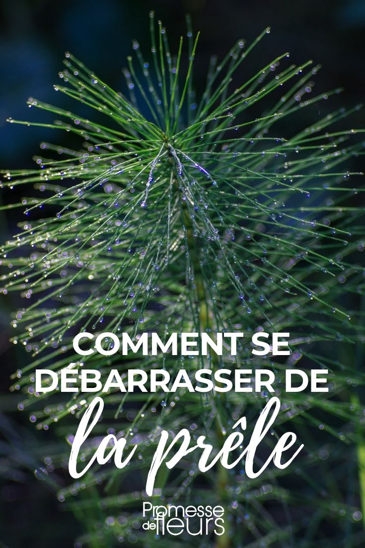 lutter contre la prele