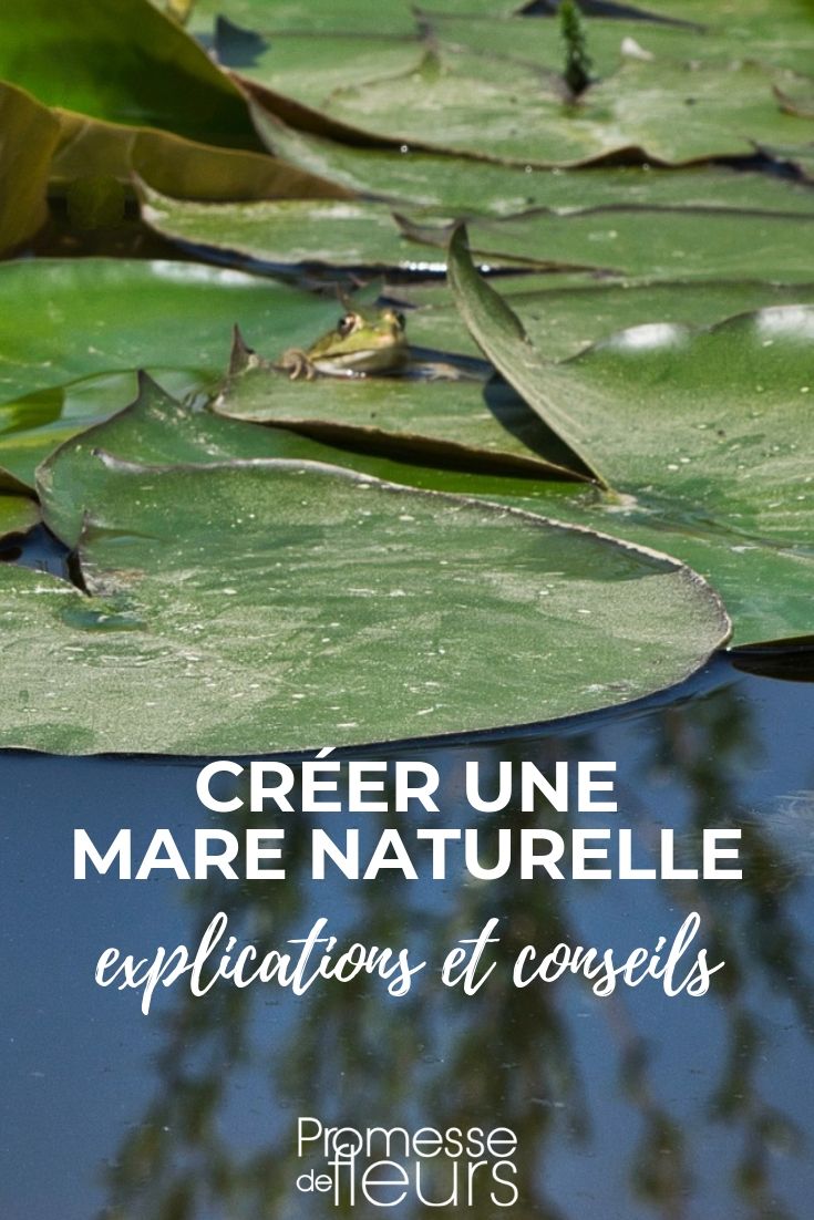 mare naturelle : comment la créer et l'aménager