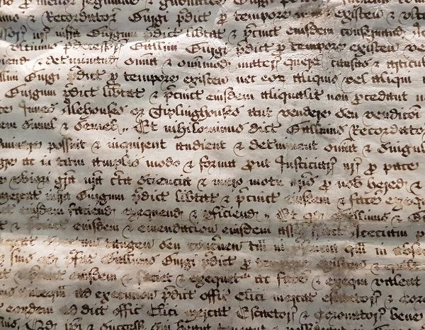 Le nom des plantes : ne perdez pas votre latin !