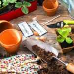 5 façons d'obtenir des plantes gratuitement