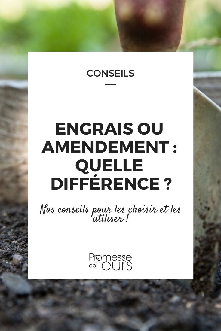engrais ou amendement ? nos explications et conseils