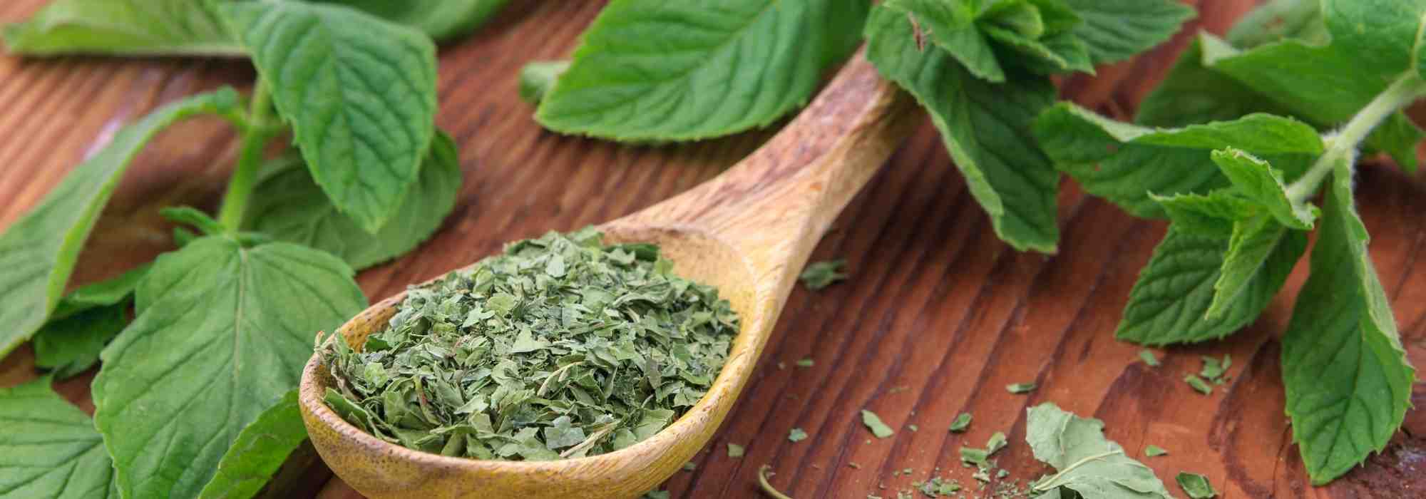 Comment conserver la menthe fraîche ?