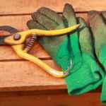 Comment choisir ses gants de jardinage ?