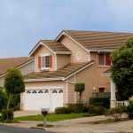 7 arbustes pour jardin de lotissement