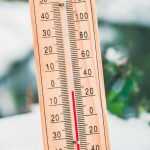 Gelées tardives, printemps froid : que faire au jardin ?