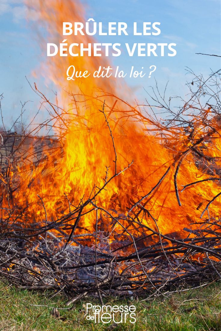 interdiction de brûler les déchets de jardin