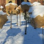 Protéger son jardin du gel avec les moyens du bord