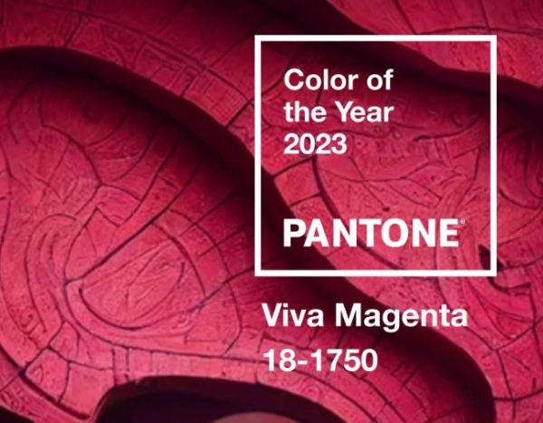 Tendance 2023 : le magenta au jardin